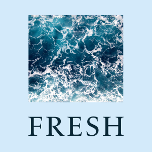 EME24SAR-NY-fresh